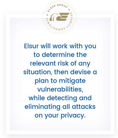 Elsur will work with you to determine the relevant risk of any situation, then devise a plan to mitigate vulnerabilities, while detecting and eliminating all attacks on your privacy. 